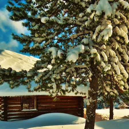 Rocky Ridge Resort-Bc Smithers Exterior photo